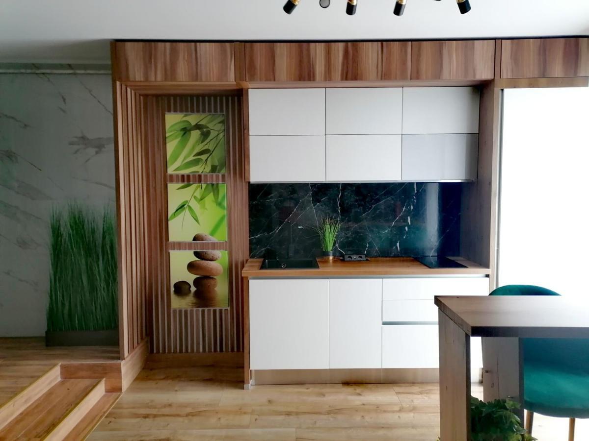 Jacuzzi Apartment Baia Mare Dış mekan fotoğraf