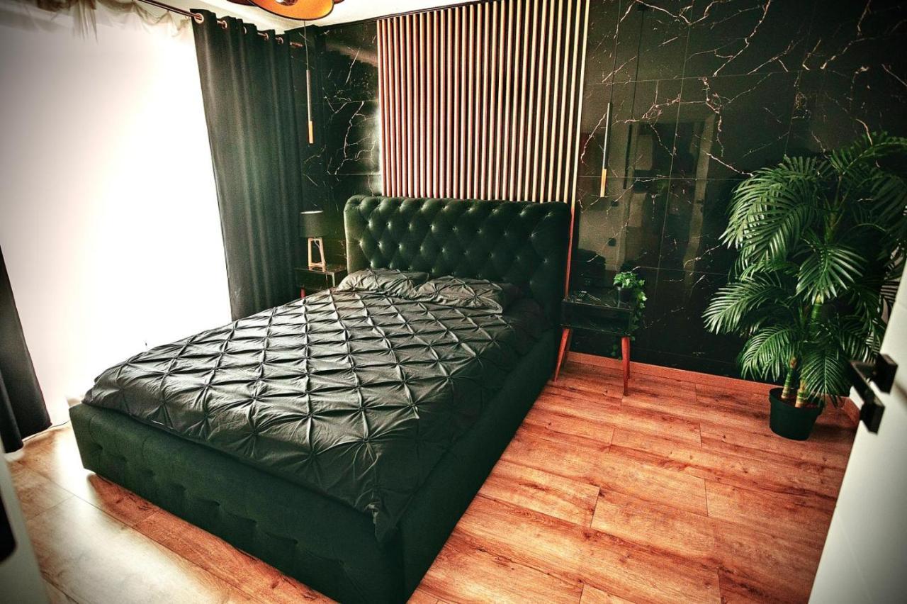 Jacuzzi Apartment Baia Mare Dış mekan fotoğraf