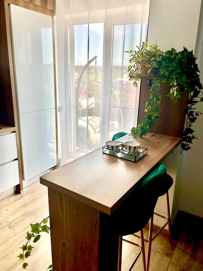 Jacuzzi Apartment Baia Mare Dış mekan fotoğraf