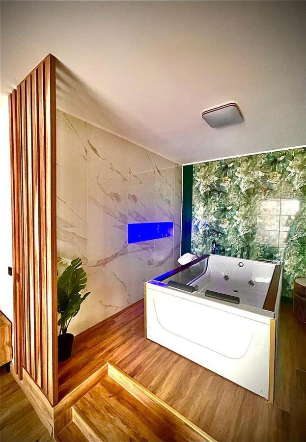 Jacuzzi Apartment Baia Mare Dış mekan fotoğraf